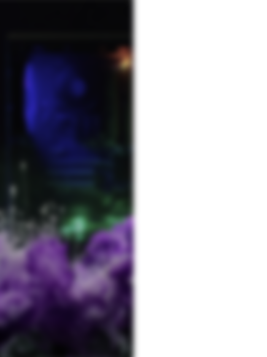 Filmproduktion Düsseldorf – Kraft Pictures